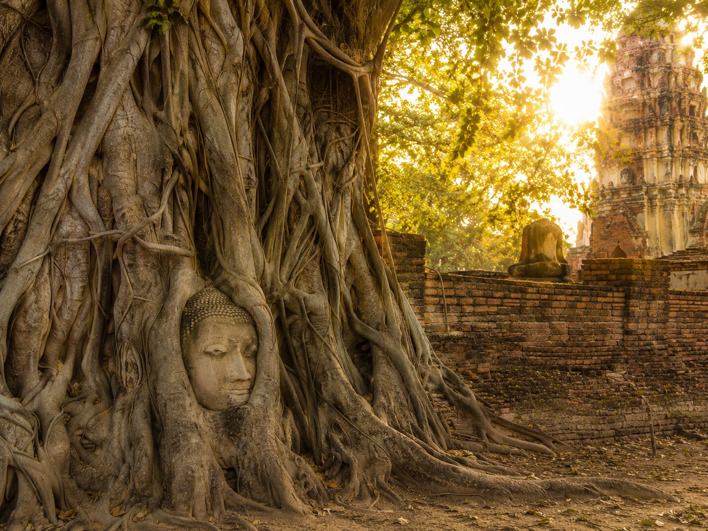 Ancient sandstone temple ruins at Ayutthaya Historical Park with stone Buddha statues glowing in golden hour afternoon light