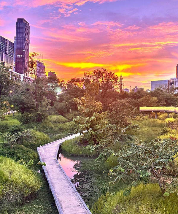 Benjakitti Park Bangkok evening fountain show and city skyline views